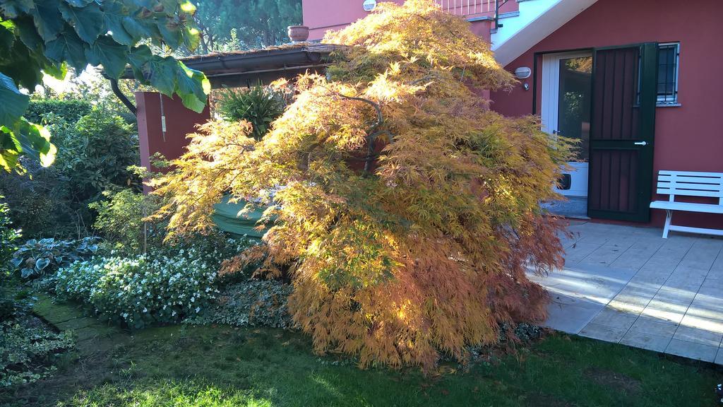 La Collina Since 2008 No Smoking B&B Varese Dış mekan fotoğraf