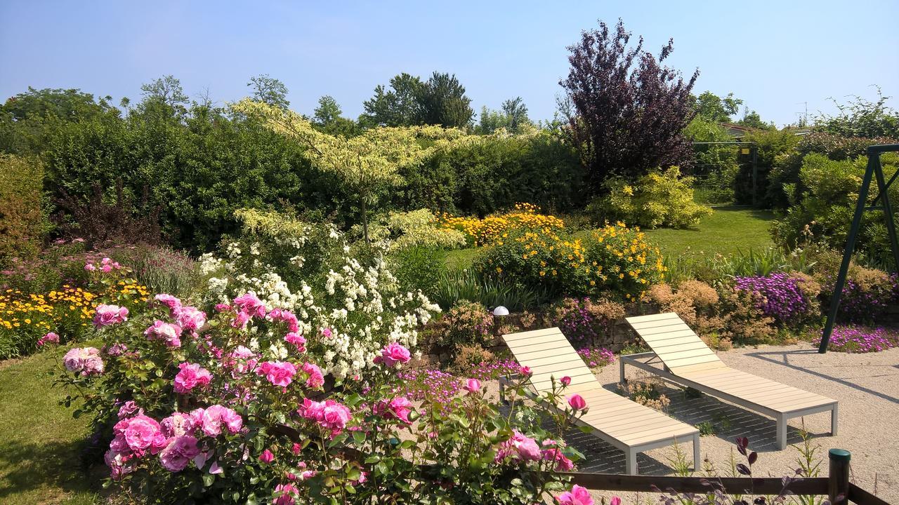 La Collina Since 2008 No Smoking B&B Varese Dış mekan fotoğraf
