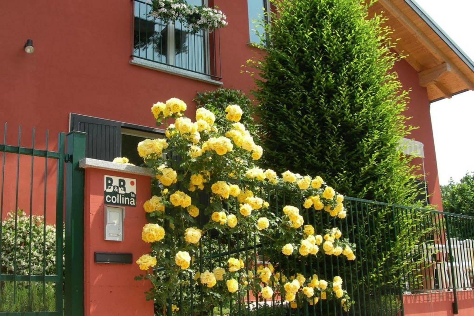 La Collina Since 2008 No Smoking B&B Varese Dış mekan fotoğraf